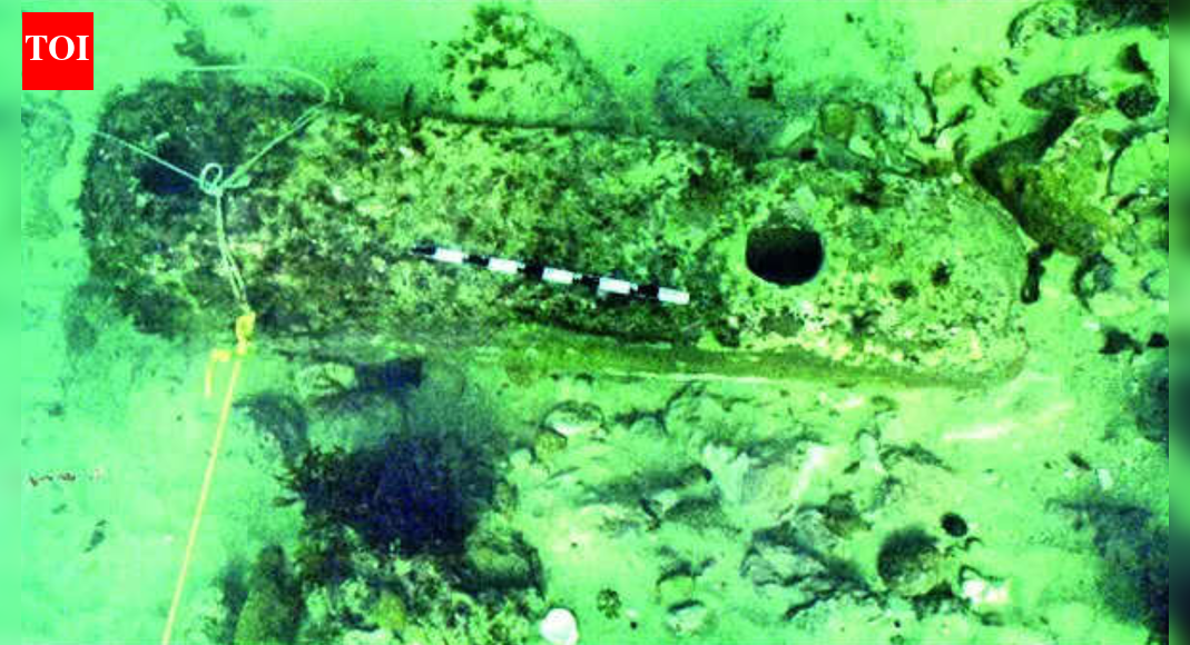 ‘Remarkable features’: ASI prepares for deeper digs to trace Krishna’s ancient Dwarka; aims to explore unexamined areas | Ahmedabad News