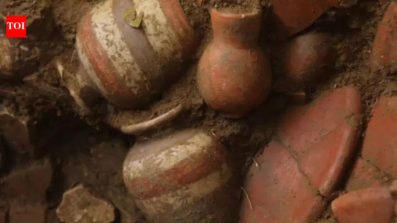 1,000-year-old gold tomb found in Panama shows ancient treasures and powerful leaders | World News