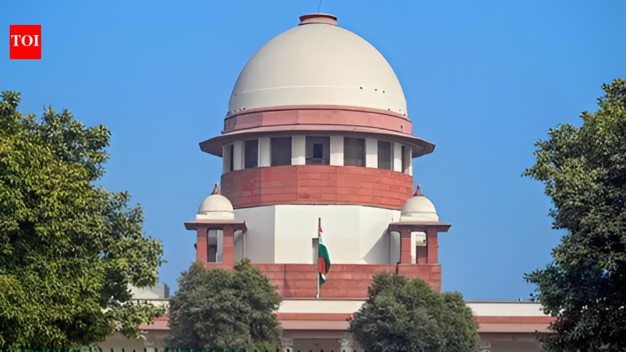 'Appeasing policy': Why Supreme Court flagged 'freebies culture' and cautioned states | India News