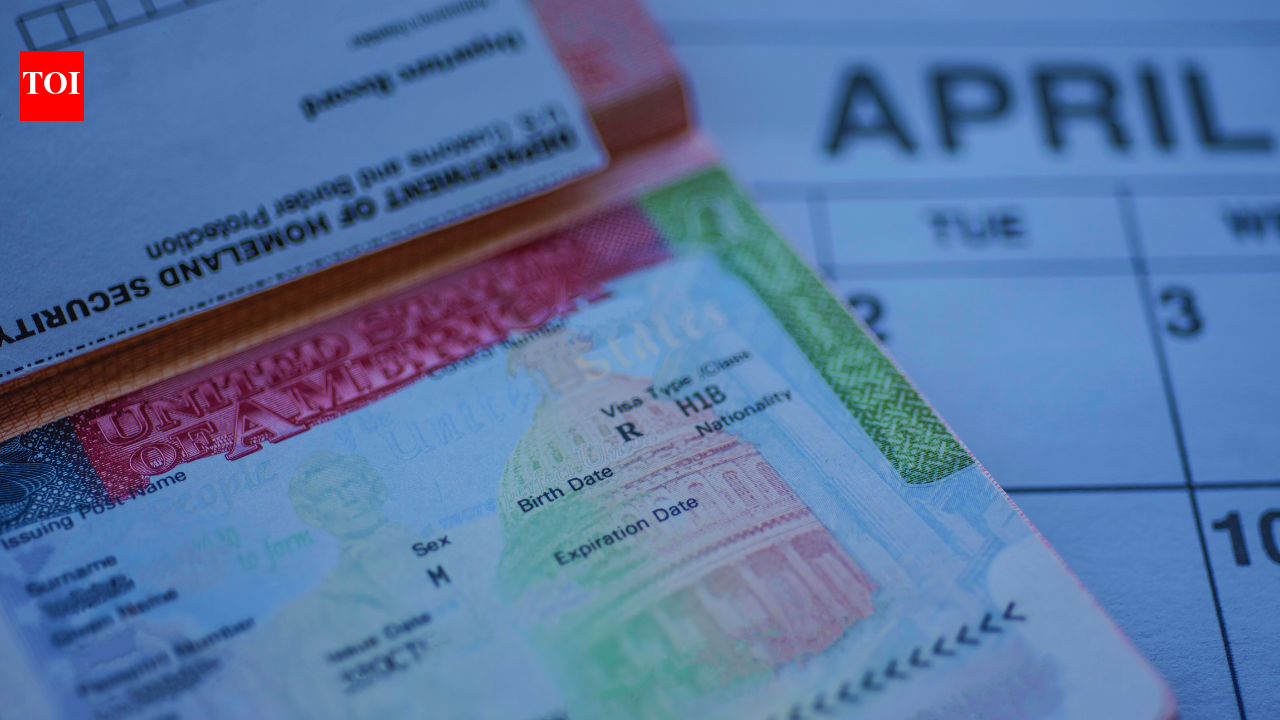 Can H-1B visa holders do ‘side hustle’ in US? MAGA activists flag home kitchen advertisements from social media groups