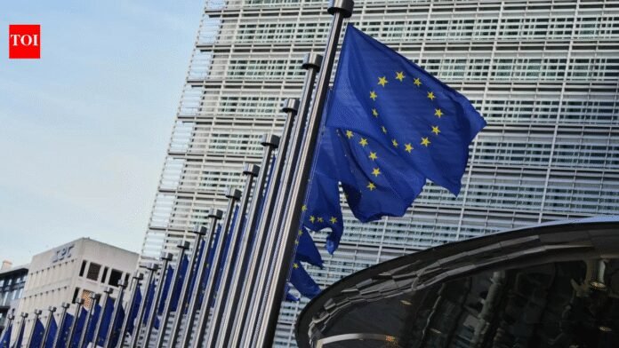 EU seeks clarity after US court blocks Trump tariffs, warns commitments must be honoured