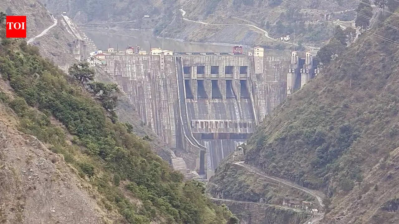 Flooding shuts down Baglihar hydropower project in J&K | India News