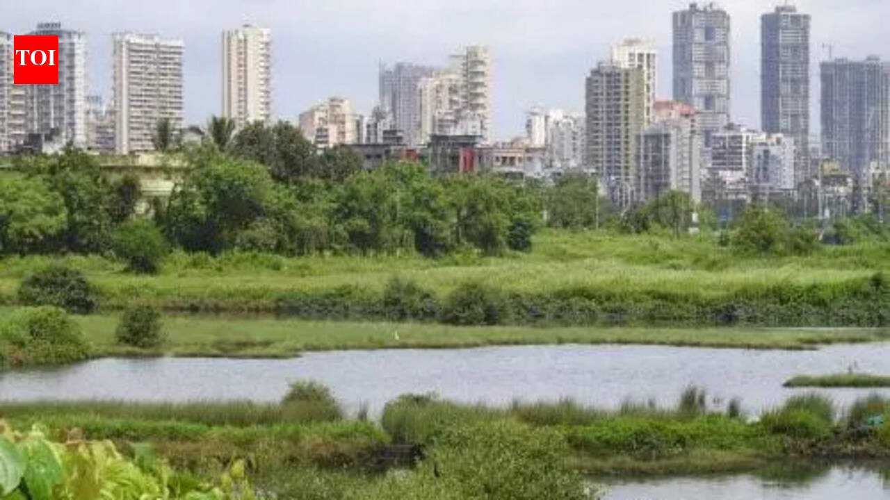 Friends Of Birds Summit: ‘Friends of Birds’ summit held in Maharashtra to create awareness | Mumbai News