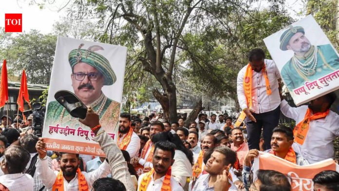 From remark to retreat: Why Shivaji Maharaj–Tipu Sultan comparison sparked row - explained | India News