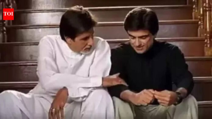 Gen Z calls Amitabh Bachchan 'real villain' of 'Baghban' and Samir Soni a green flag, the actor reacts: 'Some redemption' |