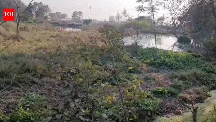 Greater Noida death: Weeks after Noida techie's death, 3-year-old falls into pit in Greater Noida, drowns | Noida News