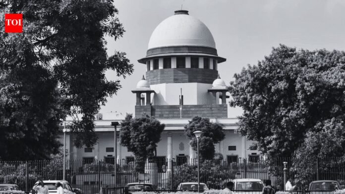 'How can you indulge in physical relationship before marriage': SC goes 'old-fashioned' | India News
