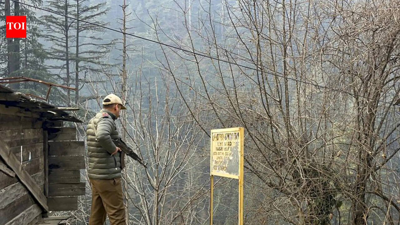 Hunt for ultras intensified on Day 15 of Op Trashi-I | India News