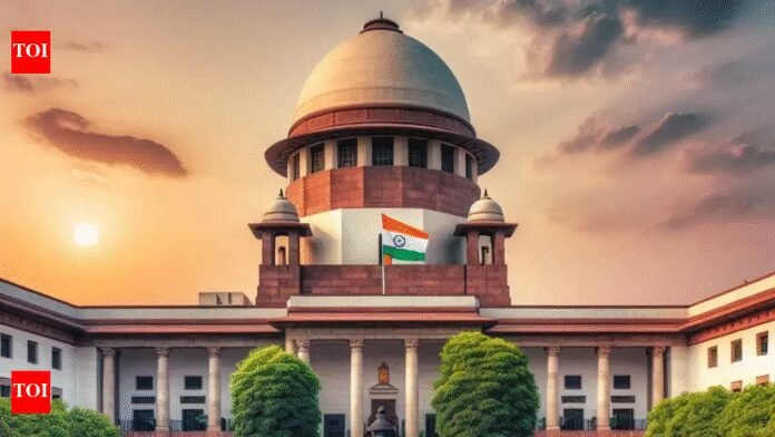 Husband or parents' income for OBC creamy layer? SC to rule | India News