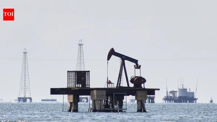 'India diversifying oil sourcing': US envoy Sergio Gor notes Russia shift - what he said on Venezuela option