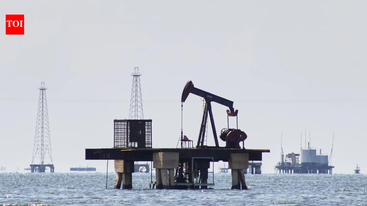 ‘India diversifying oil sourcing’: US envoy Sergio Gor notes Russia shift – what he said on Venezuela option