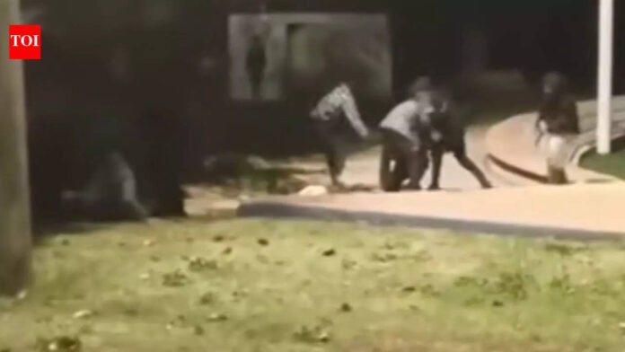 Indians attacked in Israel: ‘Racially motivated’ assault on 2 Indian workers in Ashkelon plotted on WhatsApp