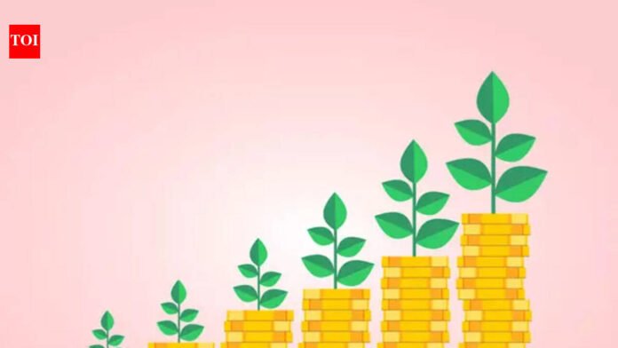 India's MF industry profile: Rs 81.01 lakh crore AUM in January, up 20.5%