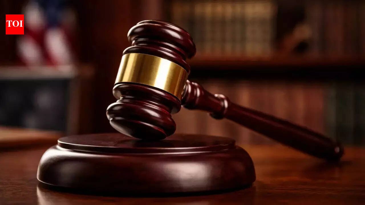 Judiciary must not create anti-investment climate: SC | India News