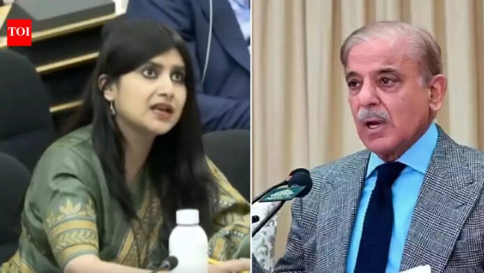 'Living in la-la land': India slams Pakistan's 'incessant propaganda' at UN | India News