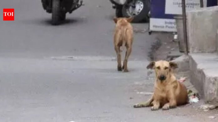 Maharashtra: Thane civic body flags off ‘Rabies Free’ campaign | Mumbai News