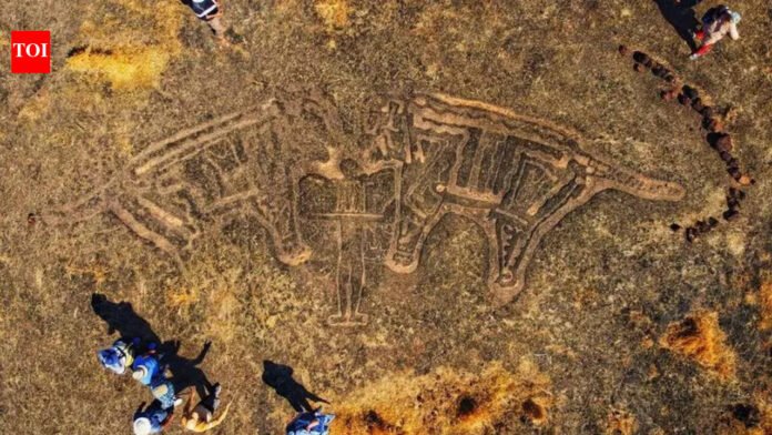 Maharashtra cultural department sets up World Heritage Desk for Konkan petroglyph research and conservation | Mumbai News