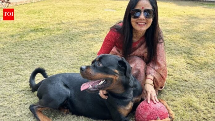 Mahua Moitra: TMC MP moves Delhi High Court against ex-partner seeking custody of pet Rottweiler ‘Henry’ | India News