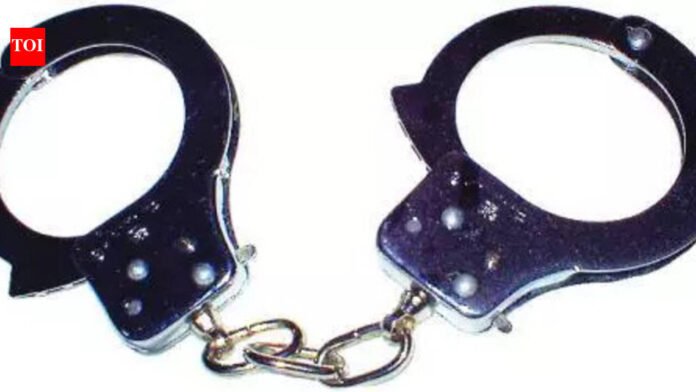 Man held with four pistols, cartridges in Thane | Mumbai News