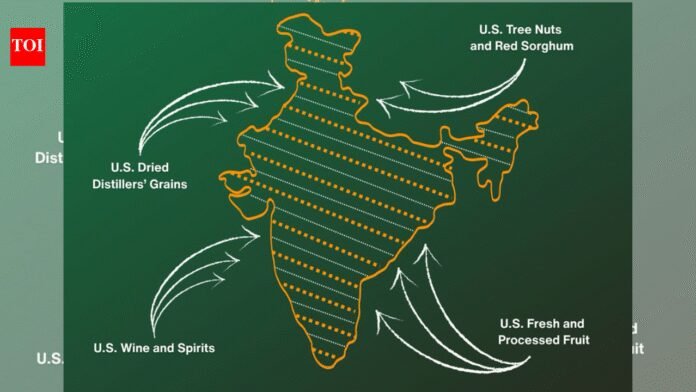 Message to Pakistan? Amid trade pact, India's map shared by US trade representative grabs attention | India News
