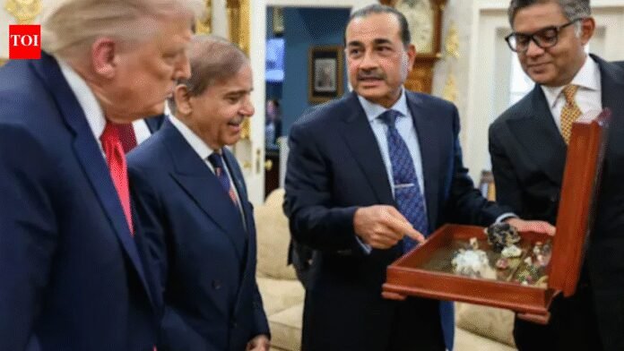 Minerals, militants, US-made guns: Why Donald Trump’s bet on Asim Munir is set to fail