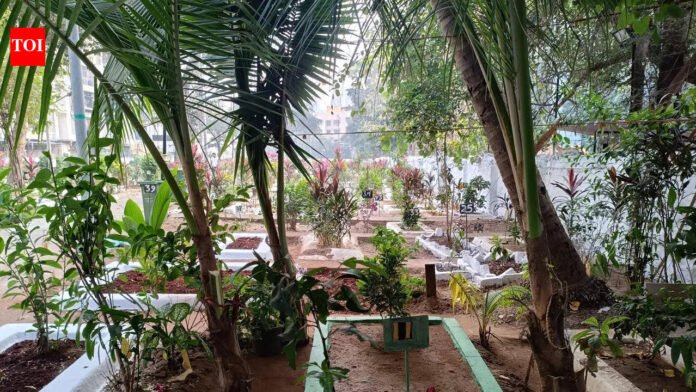 Mumbai: Prayer and halwa offerings to mark Muslim festival of Shab E' Baraat | Mumbai News