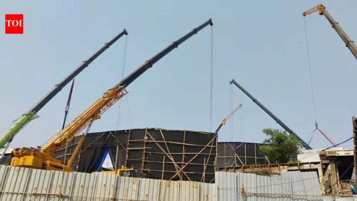 Mumbai: Tree-destruction in eco-sensitive zone, complaint lodged by NGO | Mumbai News