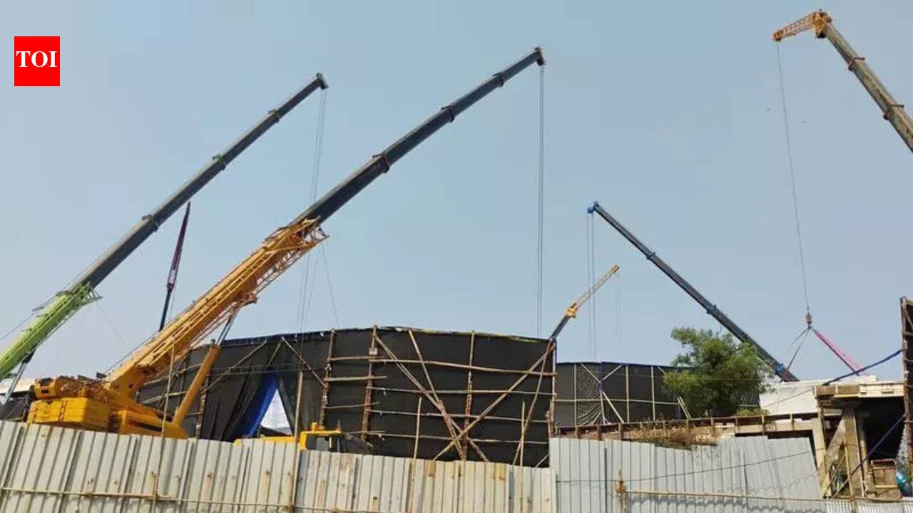 Mumbai: Tree-destruction in eco-sensitive zone, complaint lodged by NGO | Mumbai News