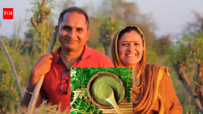 “My blood pressure was 160. It was a wake-up call for me”: How this techie quit a lucrative IT job to build a ₹30-lakh organic brand