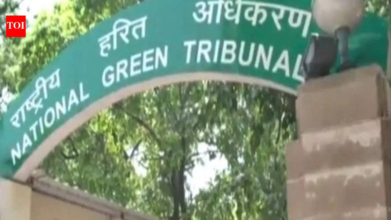 NGT clears Rs 90,000-crore Great Nicobar project, here’s why it can be a game changer