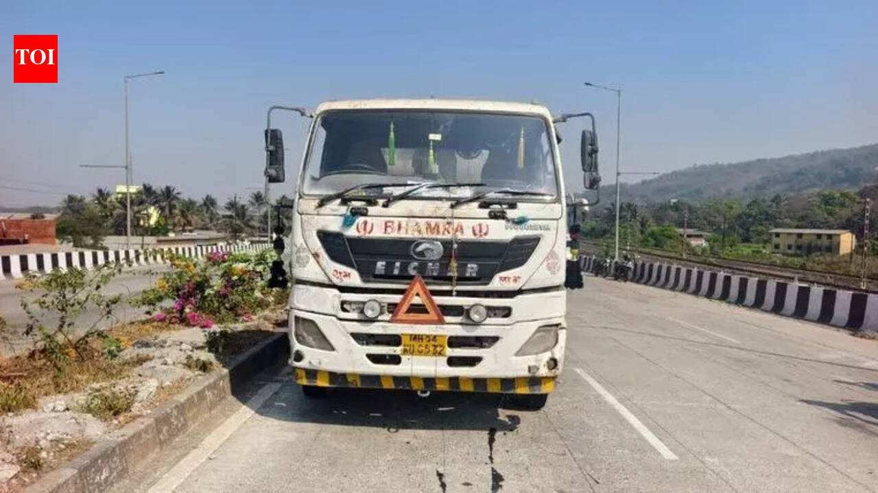 Navi Mumbai: Couple on bike hit by truck on highway, husband killed | Mumbai News