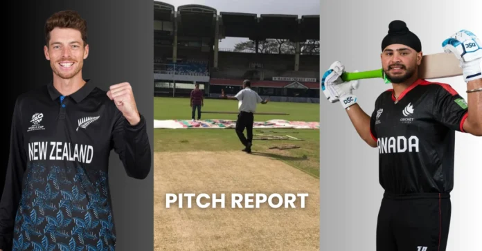 New Zealand vs Canada, T20 World Cup 2026: MA Chidambaram Stadium Pitch Report, T20I Stats and Records