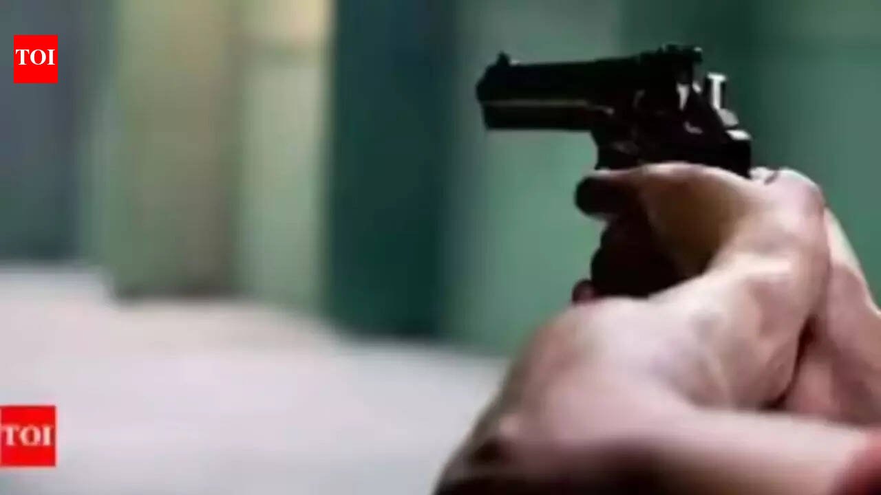 One LED light glitches at wedding venue, electrician shot dead in Gurgaon | Gurgaon News