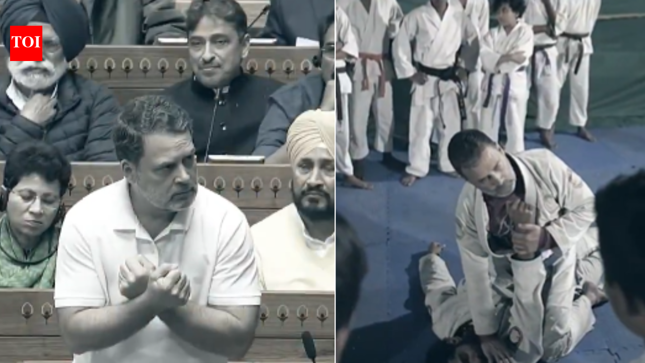 'PM Modi torn between grips of US & China': Rahul returns with jiu-jitsu analogy; explains why he used it in Parliament | India News