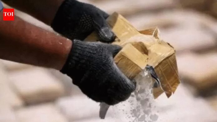 Pakistan drone-dropped drugs worth Rs 40 crore seized in Jammu | India News