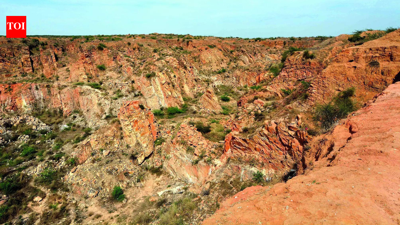 SC seeks experts for panel on Aravalis; mining ban to continue | India News