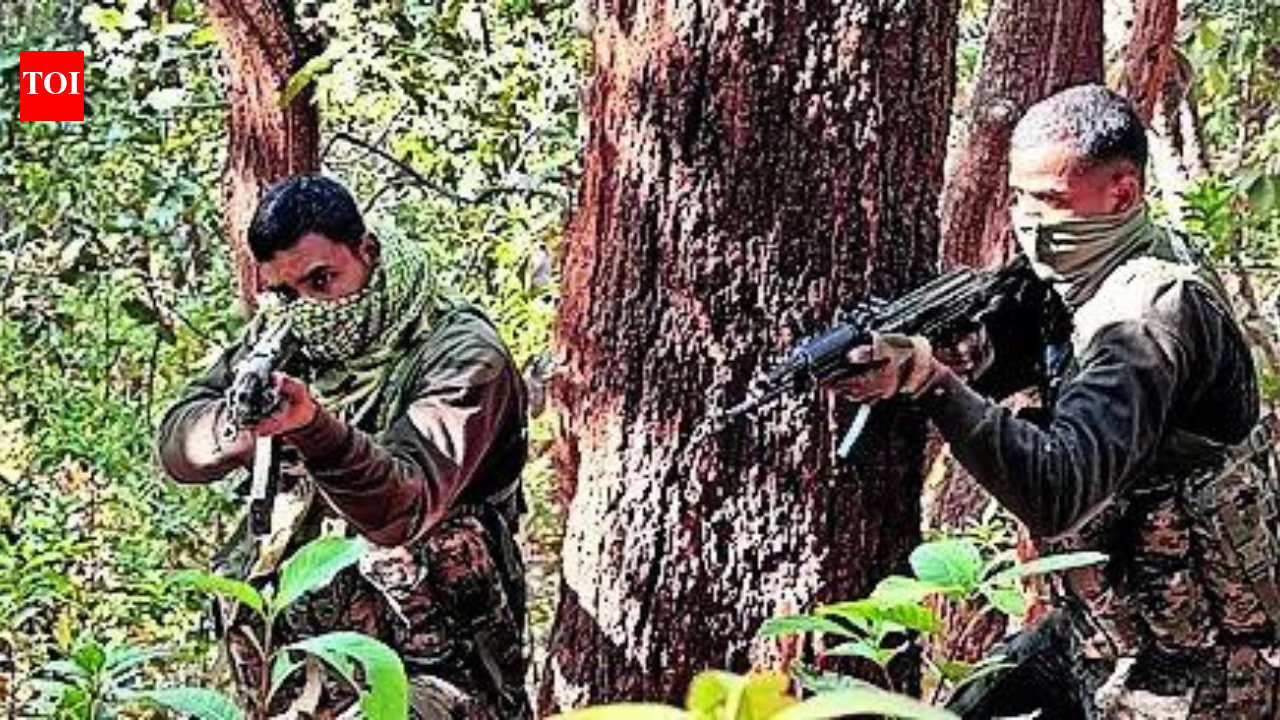 Seven Naxals killed in Gadchiroli, including top leader; special force jawan succumbs to injuries | India News