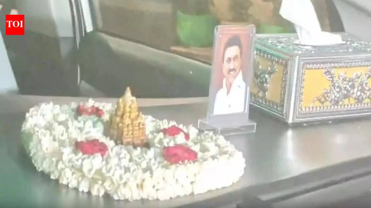 'Snap' decision: OPS trades Amma's iconic portrait for Stalin's smile | India News