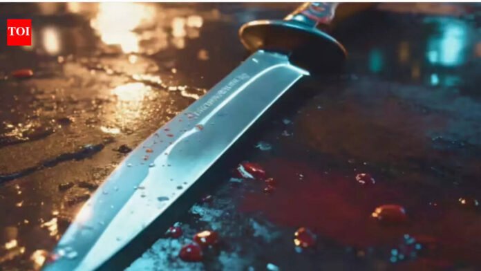 South Delhi road rage: Techie stabs man to death in parking row, injures friend | Delhi News