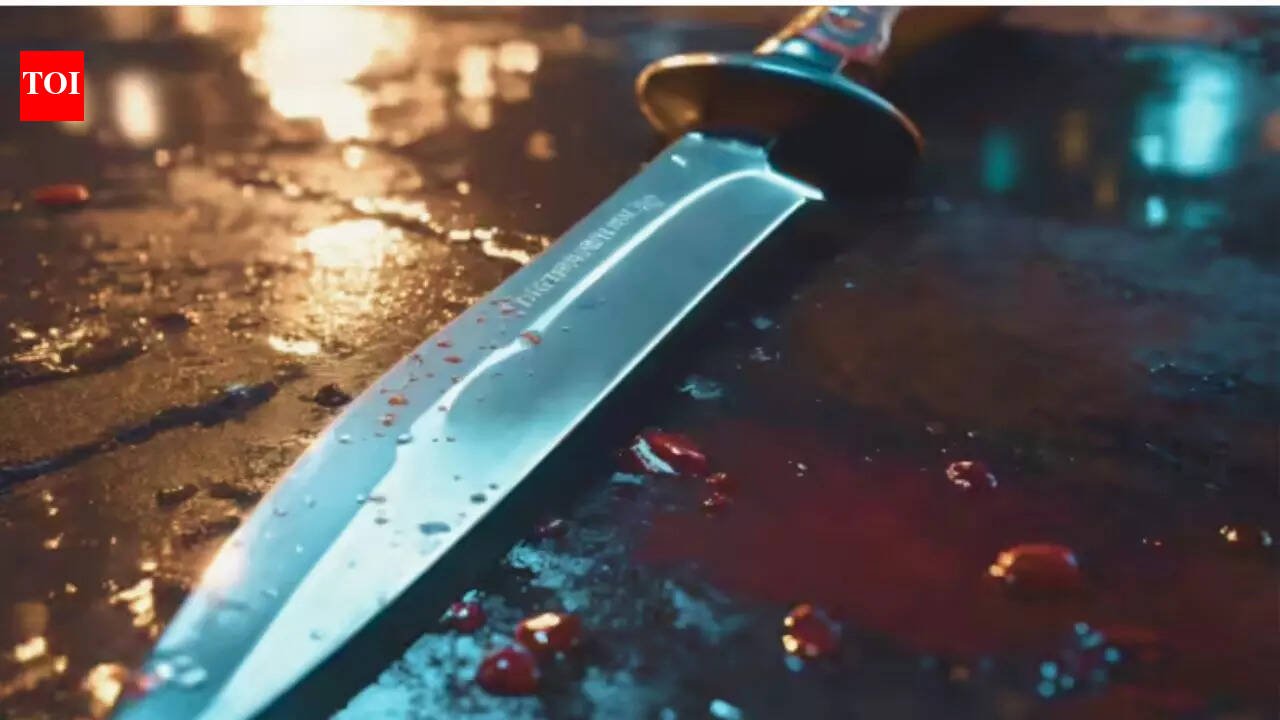 South Delhi road rage: Techie stabs man to death in parking row, injures friend | Delhi News