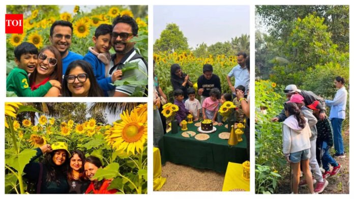 Sun, soil and smiles: Why Mumbai’s hikers are flocking to sunflower farms this season | Mumbai News