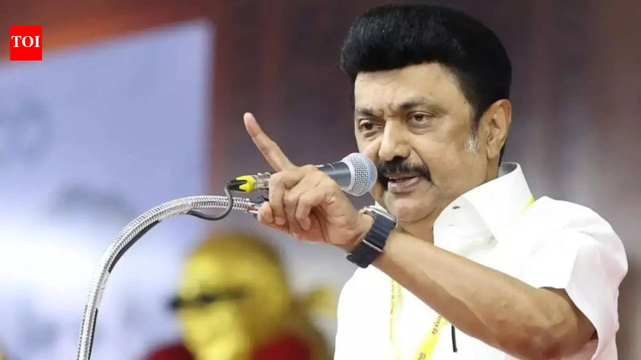 Tamil Nadu report wants governors 'defanged' | India News