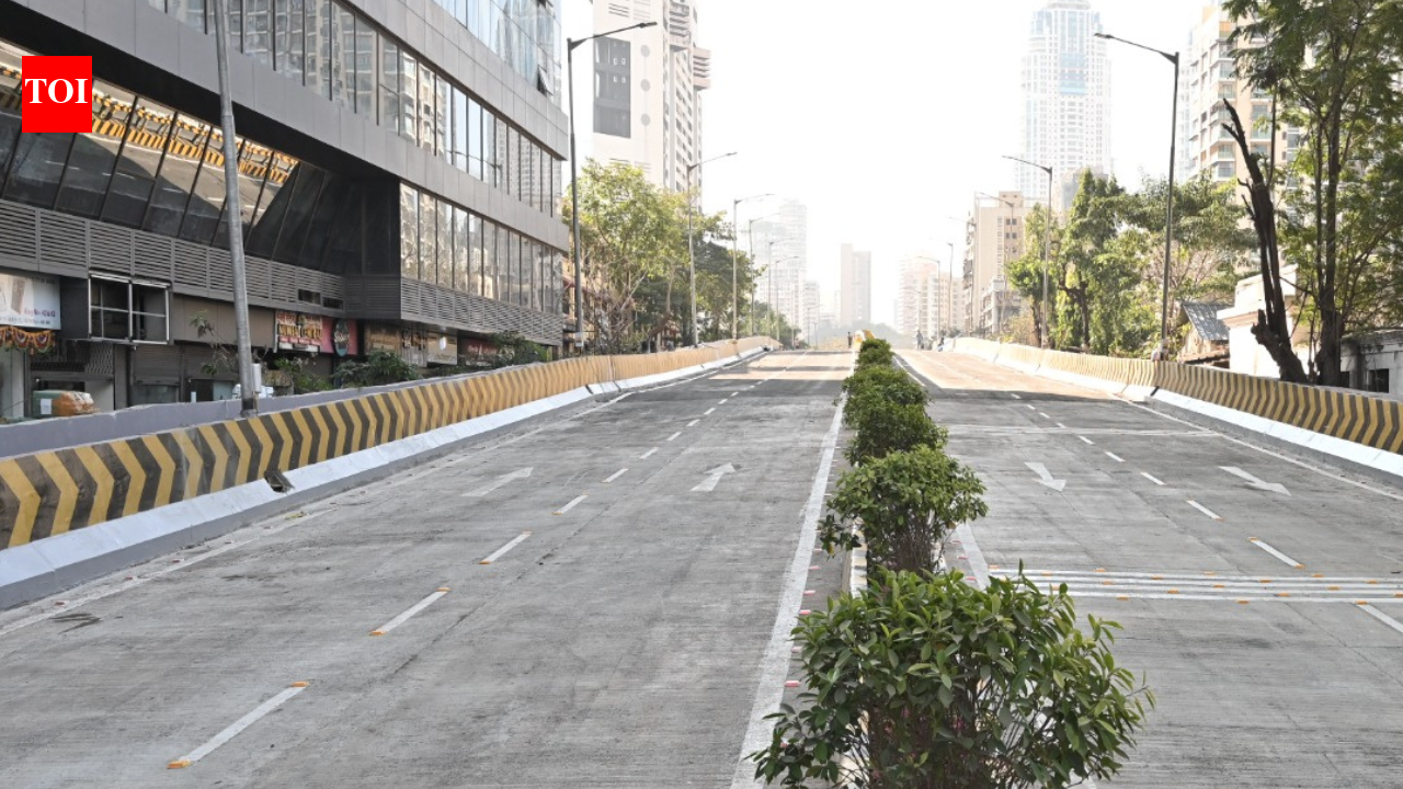 Tardeo Nagpada Mumbai Central Flyover: Mumbai Central flyover opens: CM Fadnavis inaugurates Tardeo–Nagpada corridor, replacing 130-year-old British-era bridge | Mumbai News