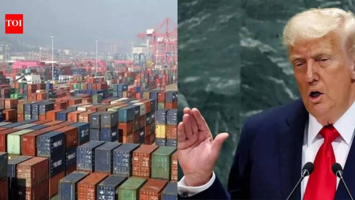 Tariff tantrums: Exporters brace for uncertain times