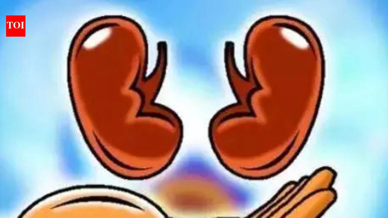 Three organ donations in 24 hrs; 10 in city this year | Mumbai News