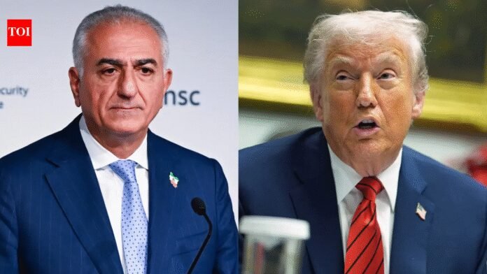 'Time to end Islamic republic': Exiled prince Reza Pahlavi urges Donald Trump to help Iranian people