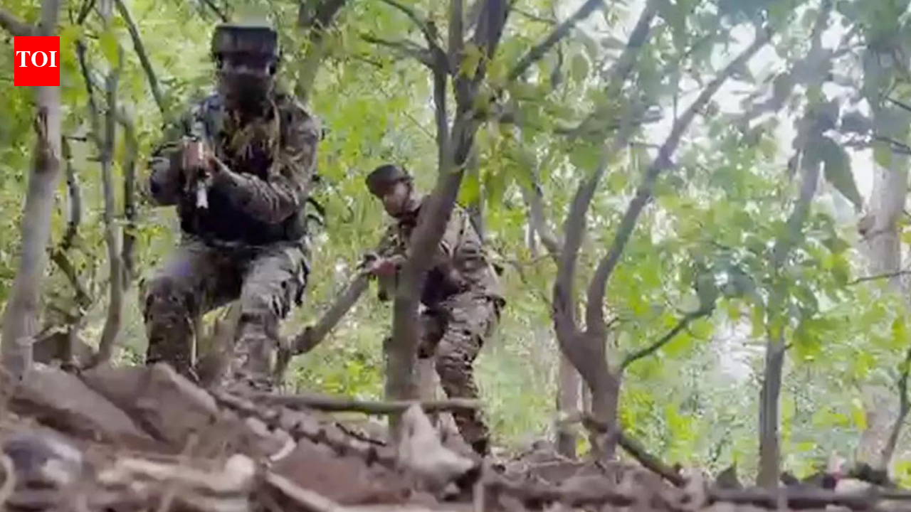 Troops fire at ‘drone’ along LoC; search for airdrops | India News