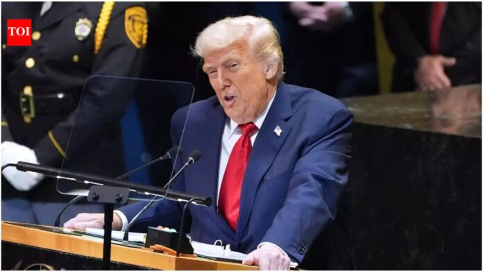 Trump announces new 10% global tariff after Supreme Court ruling: What are Sections 122, 232 and 301? Explained