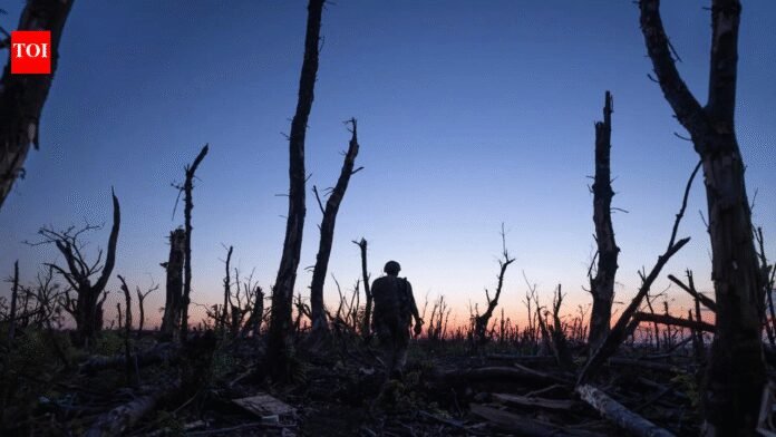 Ukraine Stands: Four years of full-scale war hasn’t broken Ukrainians. They thrive as resistance | World News