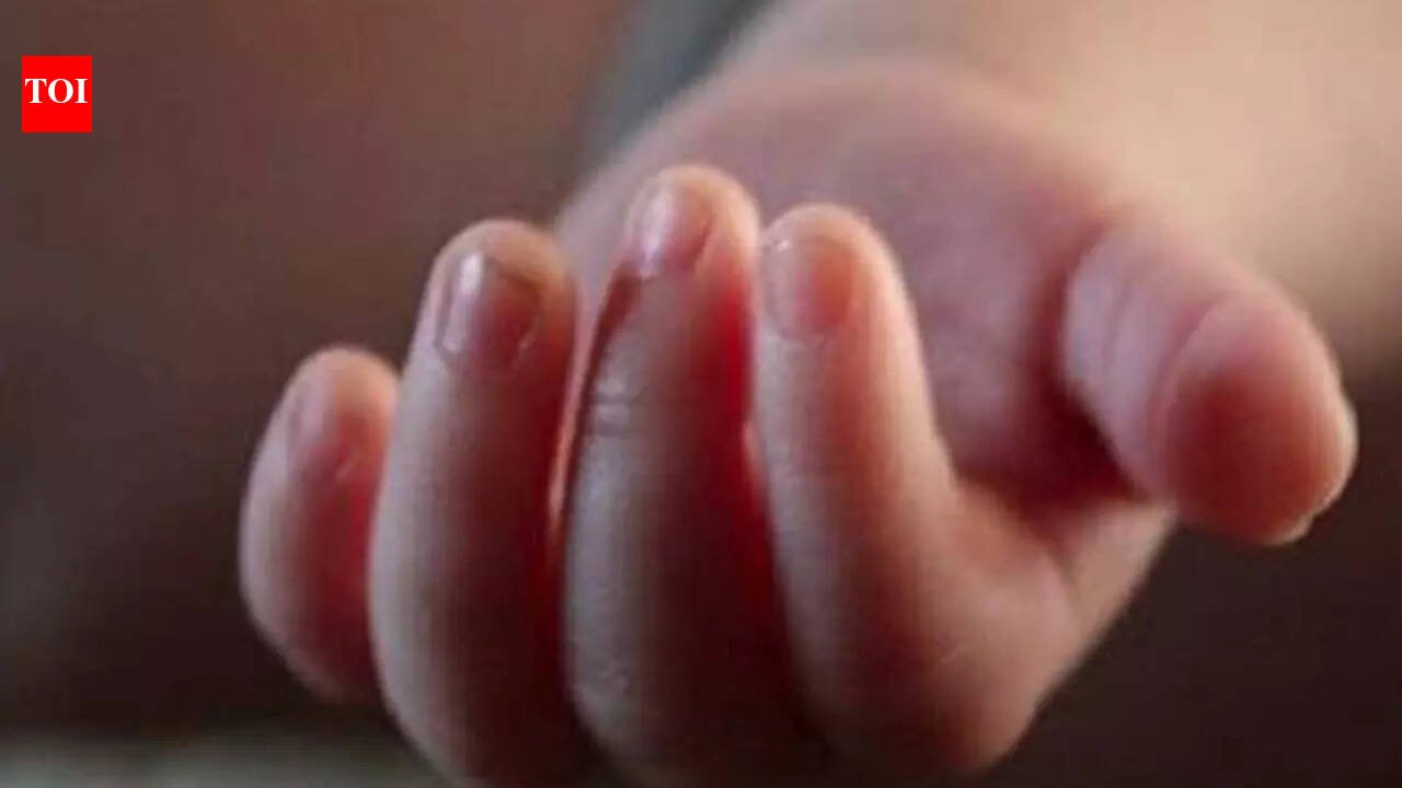 Villages in Noida in grip of child-lifting rumours; parents quit jobs, change shifts: ‘We can’t take chances’ | Noida News